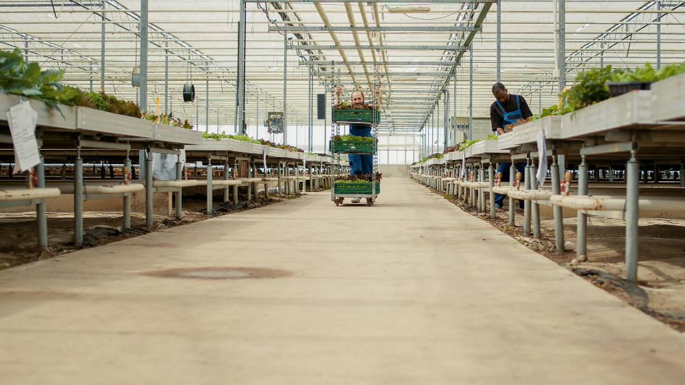 Warehousing advantage